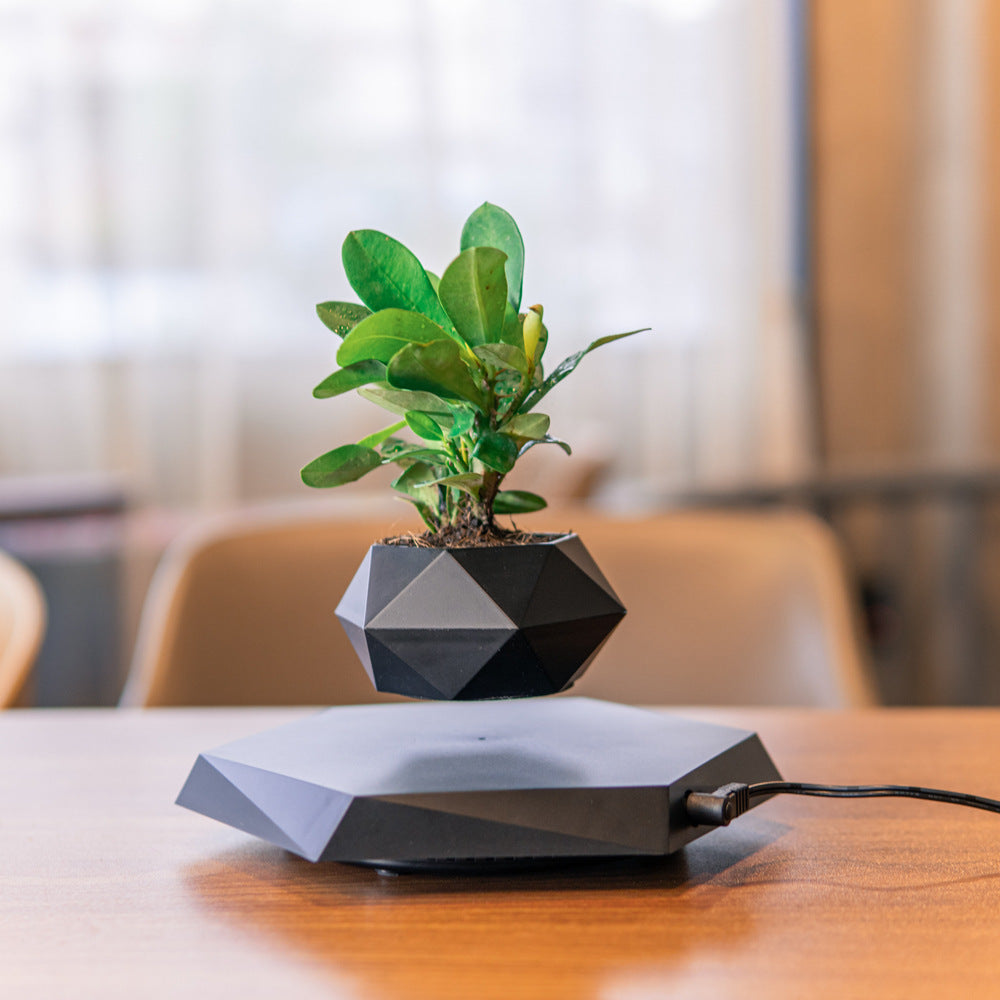 Vaso de Bonsai Levitação Magnética flutuante - Presente Criativo