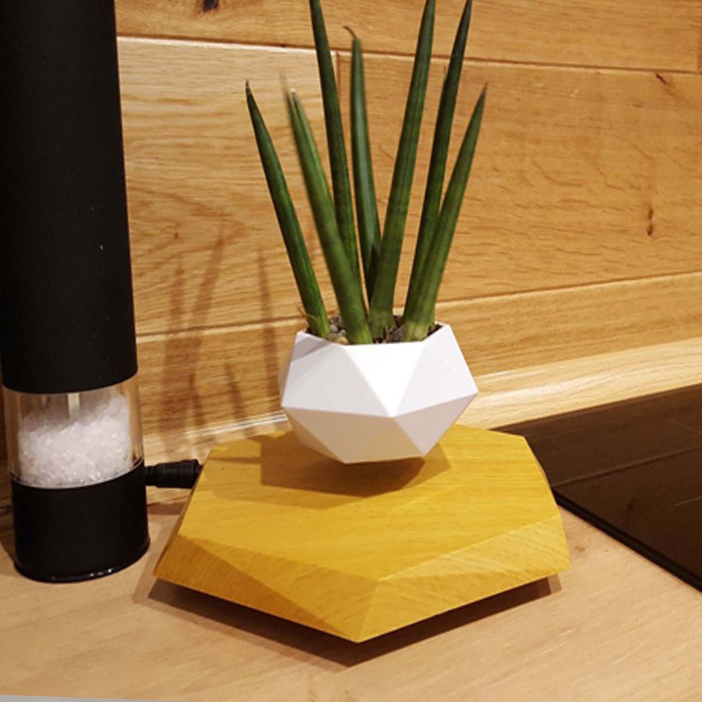 Vaso de Bonsai Levitação Magnética flutuante - Presente Criativo