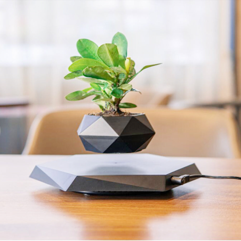 Vaso de Bonsai Levitação Magnética flutuante - Presente Criativo
