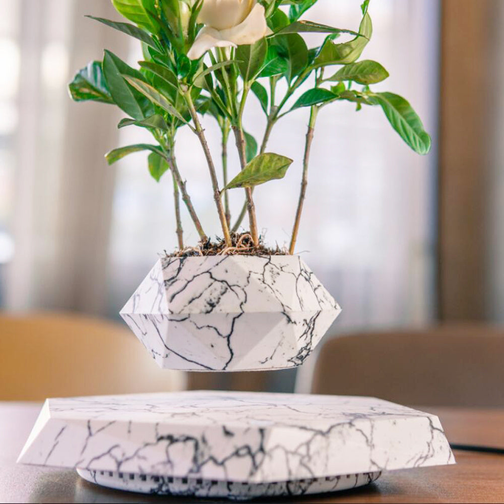 Vaso de Bonsai Levitação Magnética flutuante - Presente Criativo